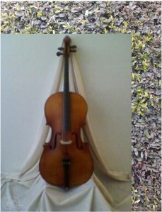 Violocelliste & Conceptual Designer