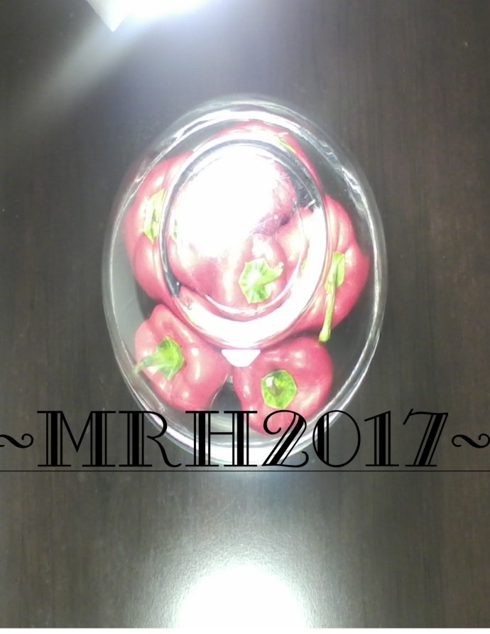 frosted light over glass sign MRH 2017