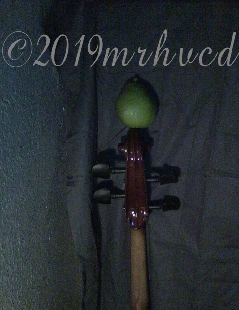 Päron Pear-spective, A pear balanced on the top of a standing cello, facing into gray fabric with a wall to one side.